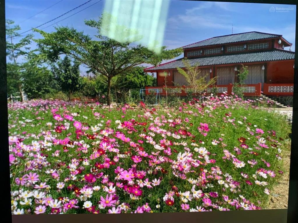 Cắt lỗ 50% đang ngộp bank thửa đất nhà vườn hồ trị an có vườn trái gần sông la ngà mát mẻ quanh năm