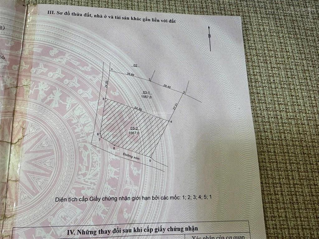 Đất đẹp như thế này các bác không mua thì các bác mua ở đâu?