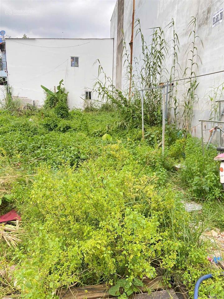 Bán đất 80m2 kế bên kcx tân thuận  hẻm sạch thoáng  ngang đẹp hơn 4m  9.x tỷ