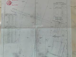 Cơ hội đầu tư đất lớn mặt tiền đường lê minh nhựt, củ chi vị trí tân an hội, củ chi