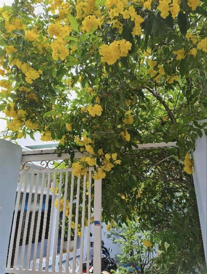 Bán nhà lò gốm 120m2 diện tích lớn thích hợp xây căn hộ dịch vụ 6.5 x 20 nở hậu 8.7m, 9.8 tỷ