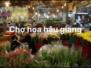 Chính chủ trang bìa lâu năm., mt đường 25m  nguyễn văn luông q.6
lề đường 5m  56.6m2 đang có dòn