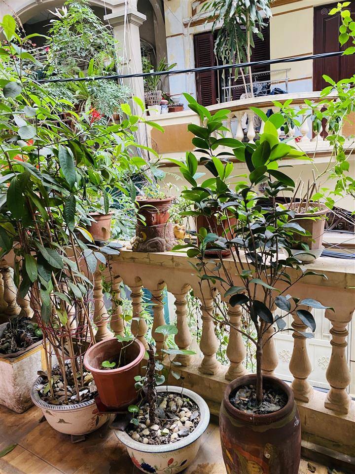 Nhà 3 tầng. phố vương thừa vũ, thanh xuân, dt 50m2, ô tô đỗ, vào nhà, cực hiếm ! chỉ nhỉnh 19 tỷ