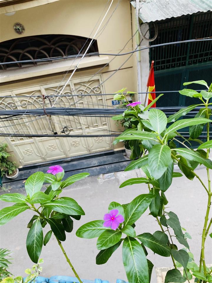 Bán gấp nhà 3 tầng vương thừa vũ, thanh xuân, dt 50m2, ô tô đỗ, vào nhà, cực hiếm! chỉ nhỉnh 19 tỷ