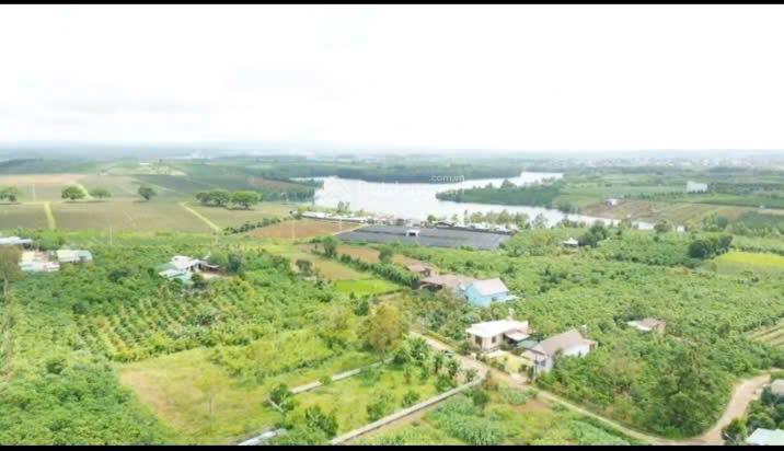 1000m2 đất có 400m đất ở gần hồ cánh bướm và olala glamping bằng phẳng nở hậu xã bảo lâm 1 lâm đồng