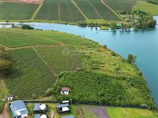 1000m2 đất có 400m đất ở gần hồ cánh bướm và olala glamping bằng phẳng nở hậu xã bảo lâm 1 lâm đồng