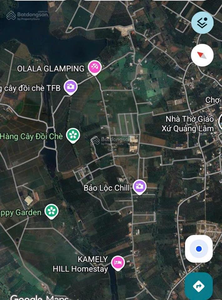 1000m2 đất có 400m đất ở gần hồ cánh bướm và olala glamping bằng phẳng nở hậu xã bảo lâm 1 lâm đồng