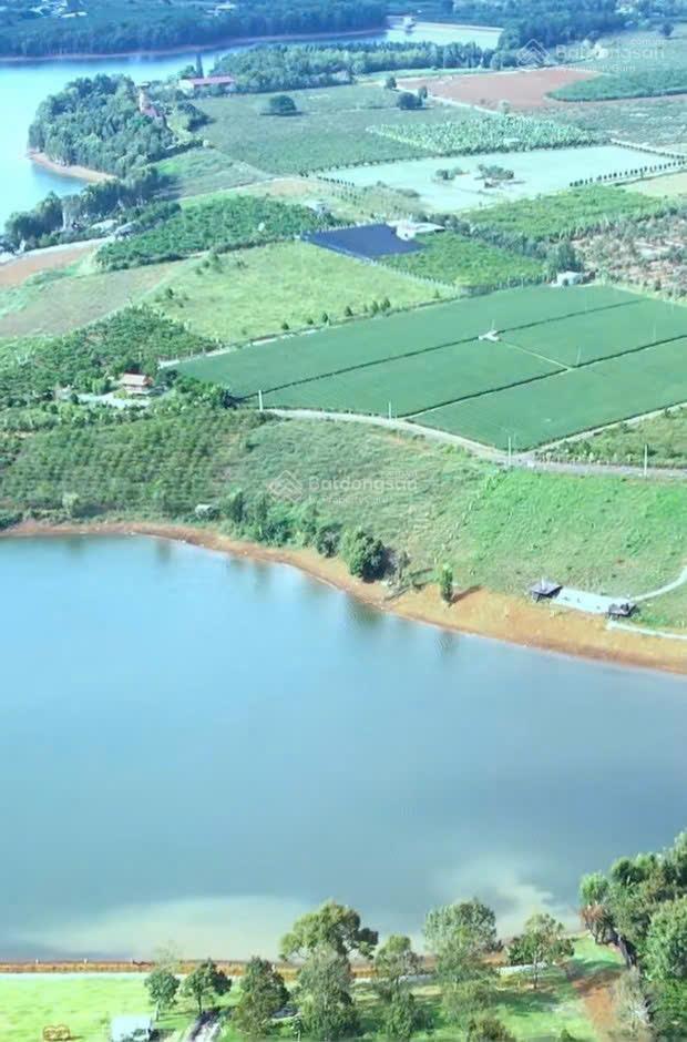 1000m2 đất có 400m đất ở gần hồ cánh bướm và olala glamping bằng phẳng nở hậu xã bảo lâm 1 lâm đồng