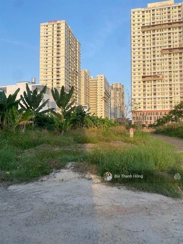 Bán đất full thổ cư khu tái định cư phạm hữu lầu, p. phú mỹ, quận 7