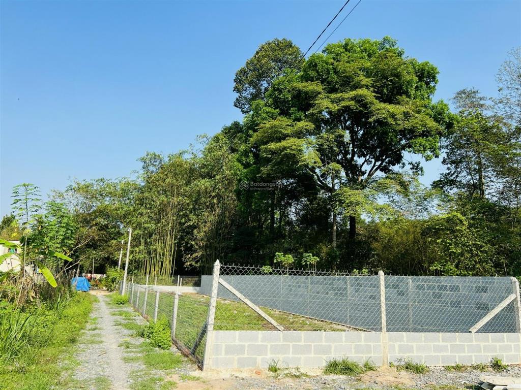 Đất ngộp nh  cc bán gấp đất đẹp tại tân an hội, củ chi