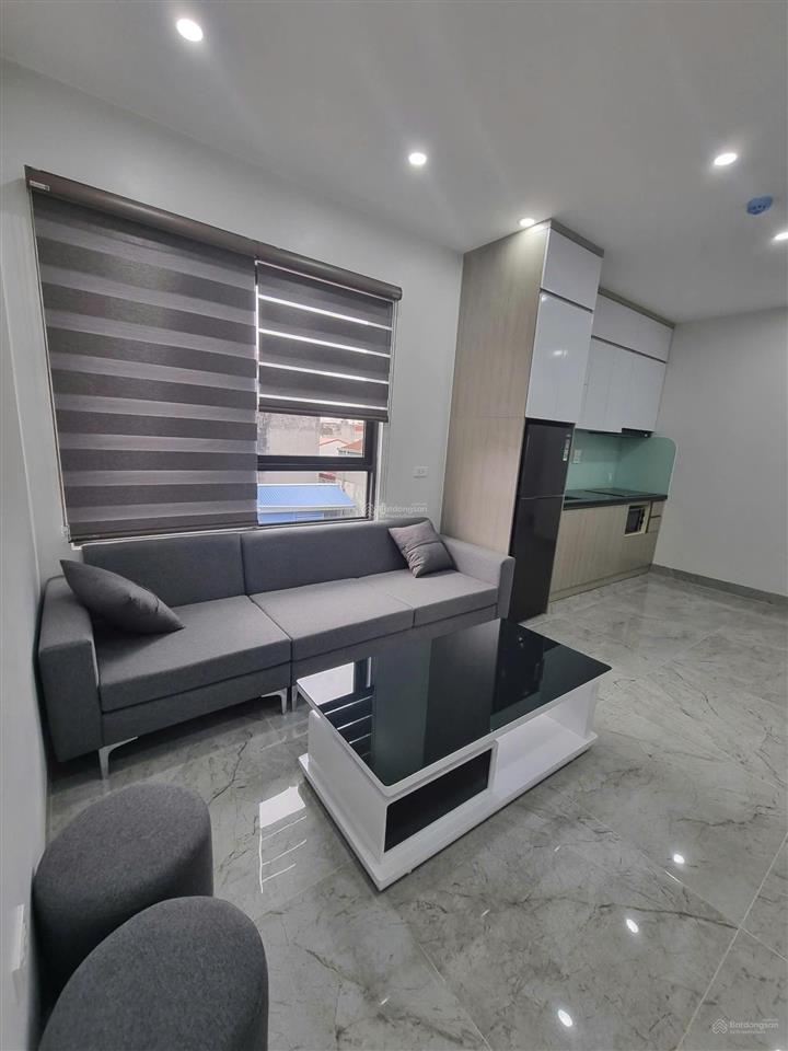 Chính chủ cho thuê căn hộ mini phố ái mộ 50m2 1 ngủ 1 khách riêng full đồ giá 7 triệu 0976 879 ***