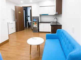 Chính chủ cho thuê căn hộ 40m2 thiết kế 1 ngủ 1 khách phố hoàng minh đạo giá 6 triệu 0976 879 ***