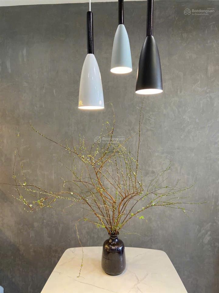Chính chủ cho thuê căn hộ 2 ngủ 2wc 69m2 chung cư homeland bồ đề full đồ giá 4.75 tỷ  0976 879 ***