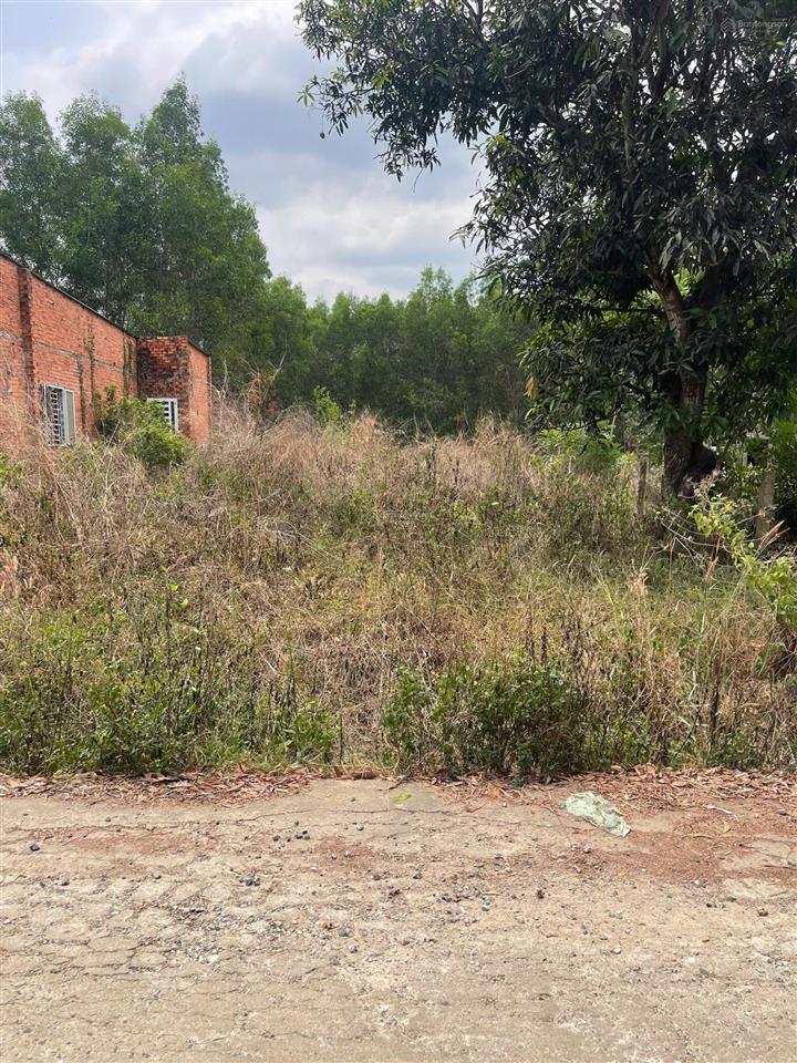 Nợ ngân hàng bán lổ lô đất 10x35 thổ cư 100m2 ngay phòng khám đa khoa nhân ngọc ấp 5 xuân tâm