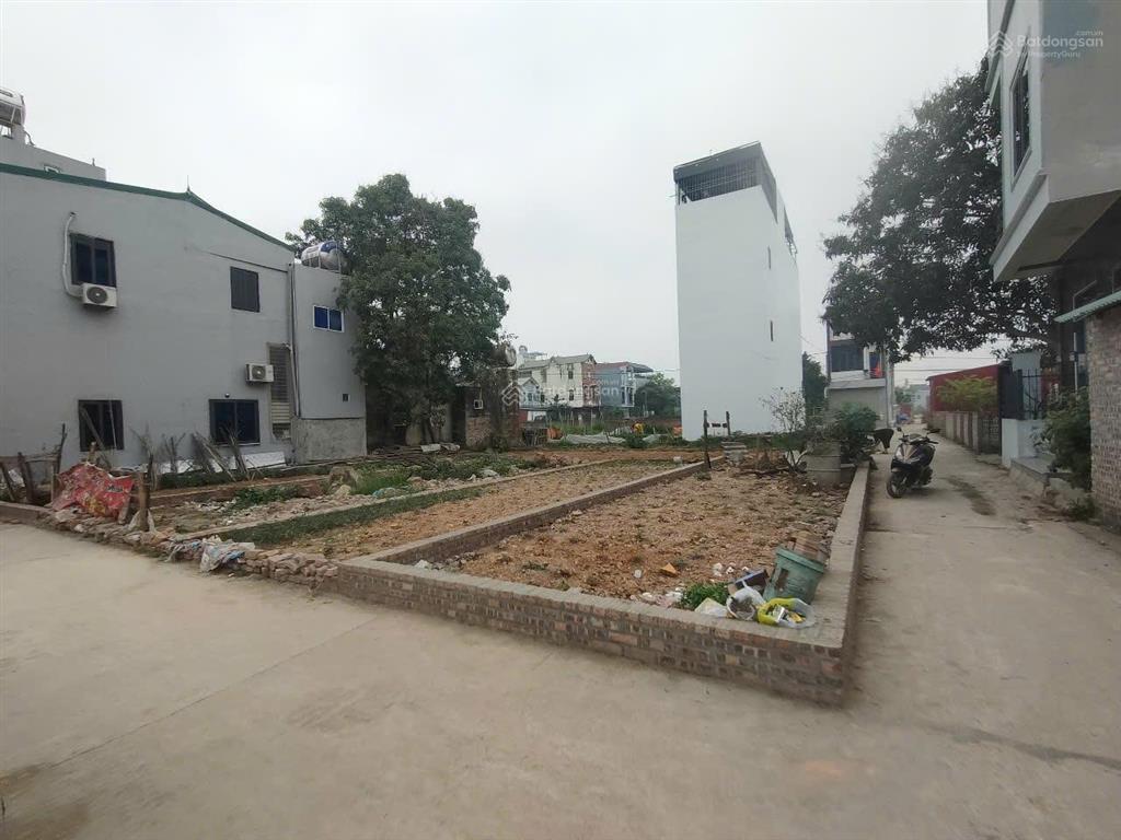 64m2, mt4m, ô tô vào đất, ngõ thông  đất tổ 10, ấp tre, xã quang minh, h. nội (3.6 tỷ)
