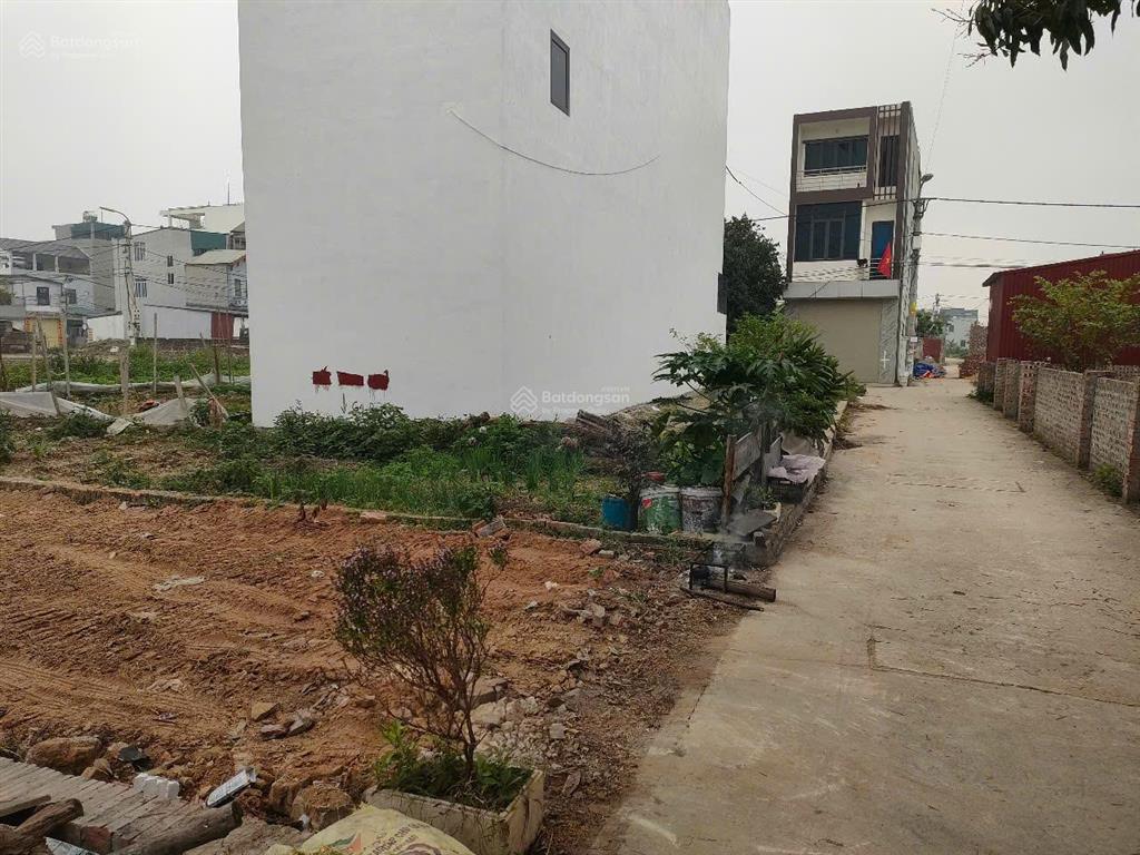 64m2, mt4m, ô tô vào đất, ngõ thông  đất tổ 10, ấp tre, xã quang minh, h. nội (3.6 tỷ)