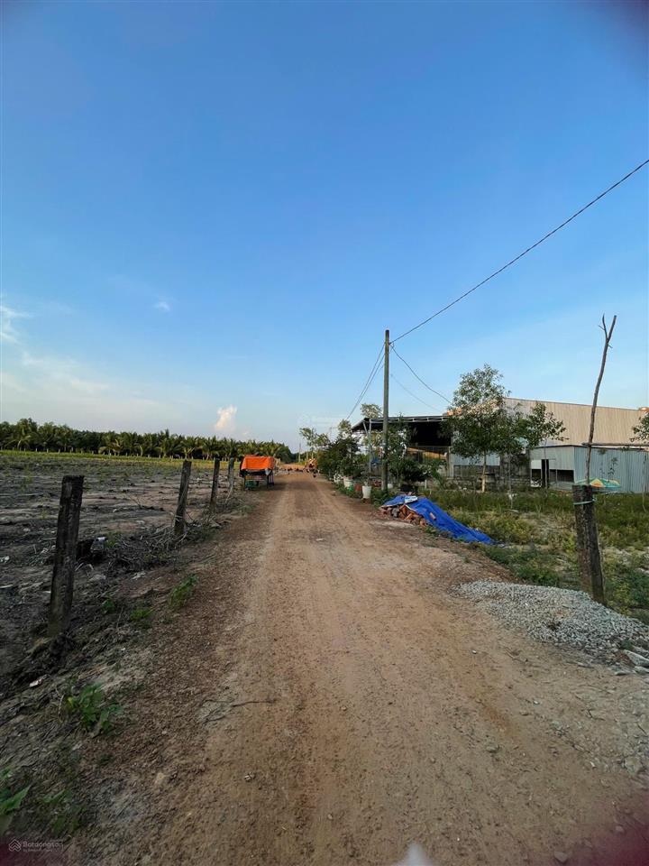 1.5 hecta đất trống, phù hợp trang trại chăn nuôi, nơi nghỉ dưỡng tại xuân hoà, đồng nai