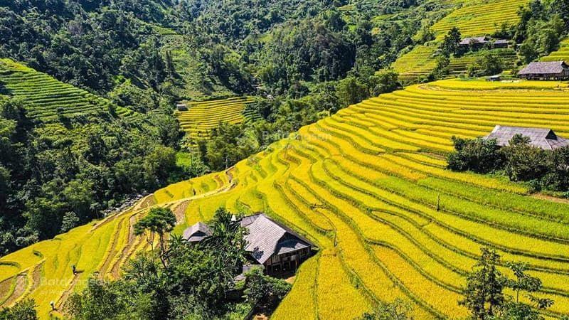 Đất làm khu nghỉ dưỡng homestay