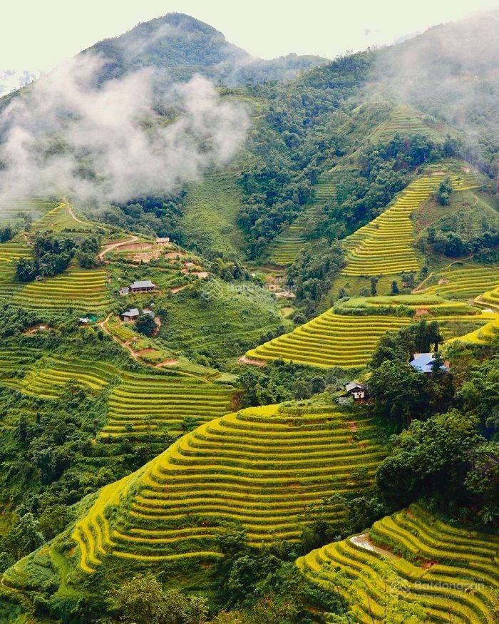 Đất làm khu nghỉ dưỡng homestay