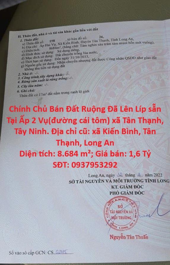 Chính Chủ Bán Đất Ruộng Đã Lên Líp sẵn Tại Ấp 2 Vụ(đường cái tôm) xã Tân Thạnh, Tây Ninh