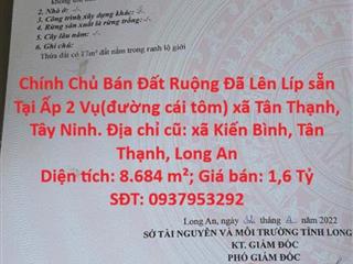 Chính Chủ Bán Đất Ruộng Đã Lên Líp sẵn Tại Ấp 2 Vụ(đường cái tôm) xã Tân Thạnh, Tây Ninh