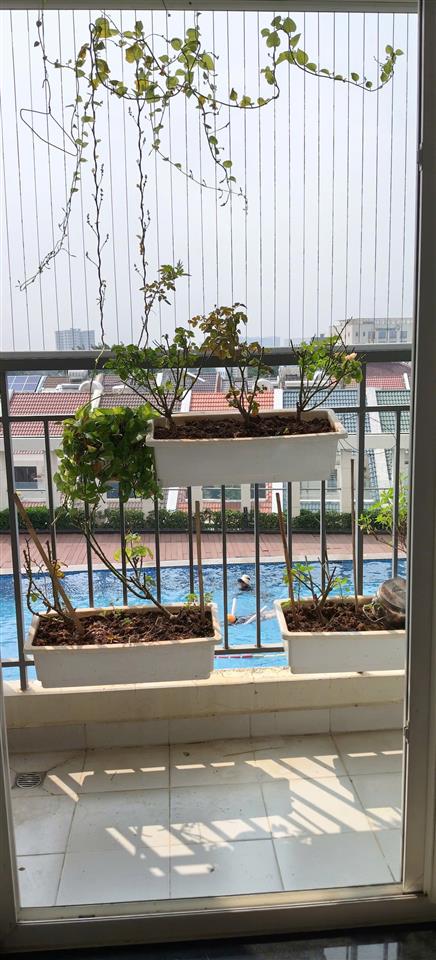 CĂN GÓC MẶT TIỀN ĐẸP – GIÁ TỐT  – CHÍNH CHỦ CẦN BÁN Tại 102 Đặng Văn Bi, P. Thủ Đức, HCM