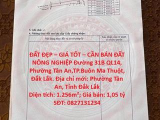 ĐẤT ĐẸP – GIÁ TỐT – CẦN BÁN ĐẤT NÔNG NGHIỆP Đường 31B QL14, Phường Tân An,TP.Buôn Ma