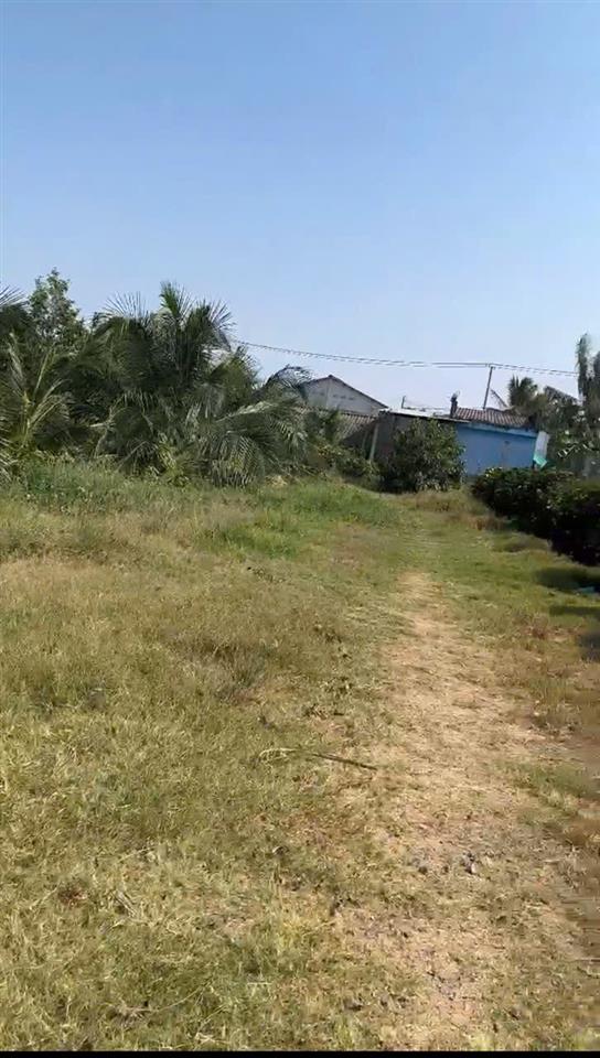 CHÍNH CHỦ Cần Bán 12.000m2 Đất Lúa - 2 MẶT TIỀN Châu Thị Kim, An Vĩnh Ngãi, TP Tân An