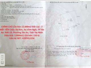 CHÍNH CHỦ Cần Bán 12.000m2 Đất Lúa - 2 MẶT TIỀN Châu Thị Kim, An Vĩnh Ngãi, TP Tân An