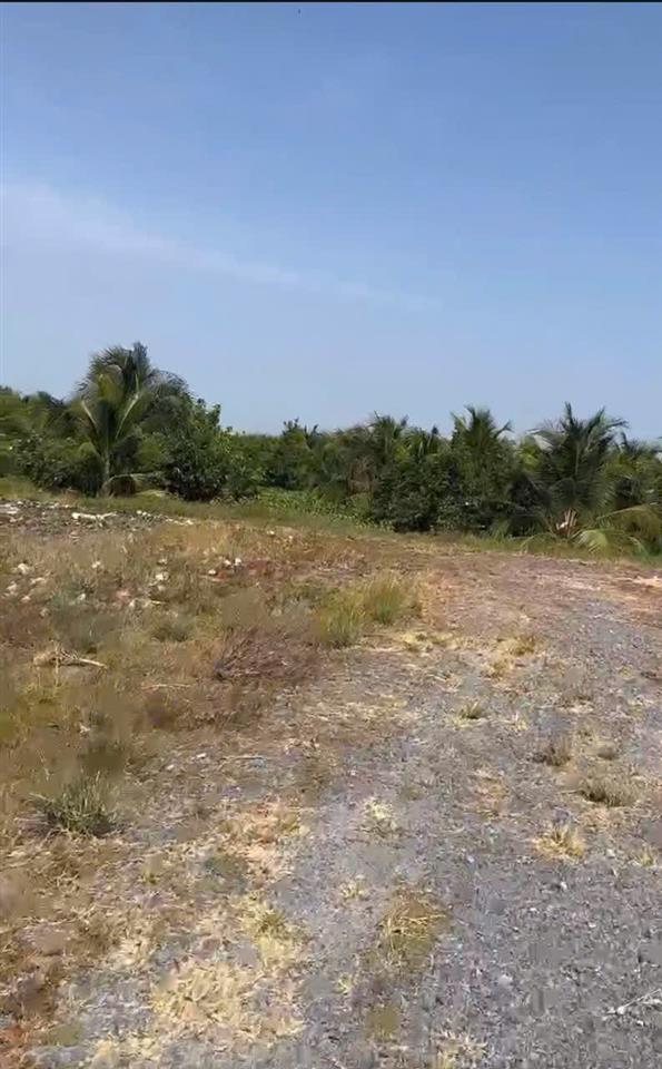 CHÍNH CHỦ Cần Bán 12.000m2 Đất Lúa - 2 MẶT TIỀN Châu Thị Kim, An Vĩnh Ngãi, TP Tân An