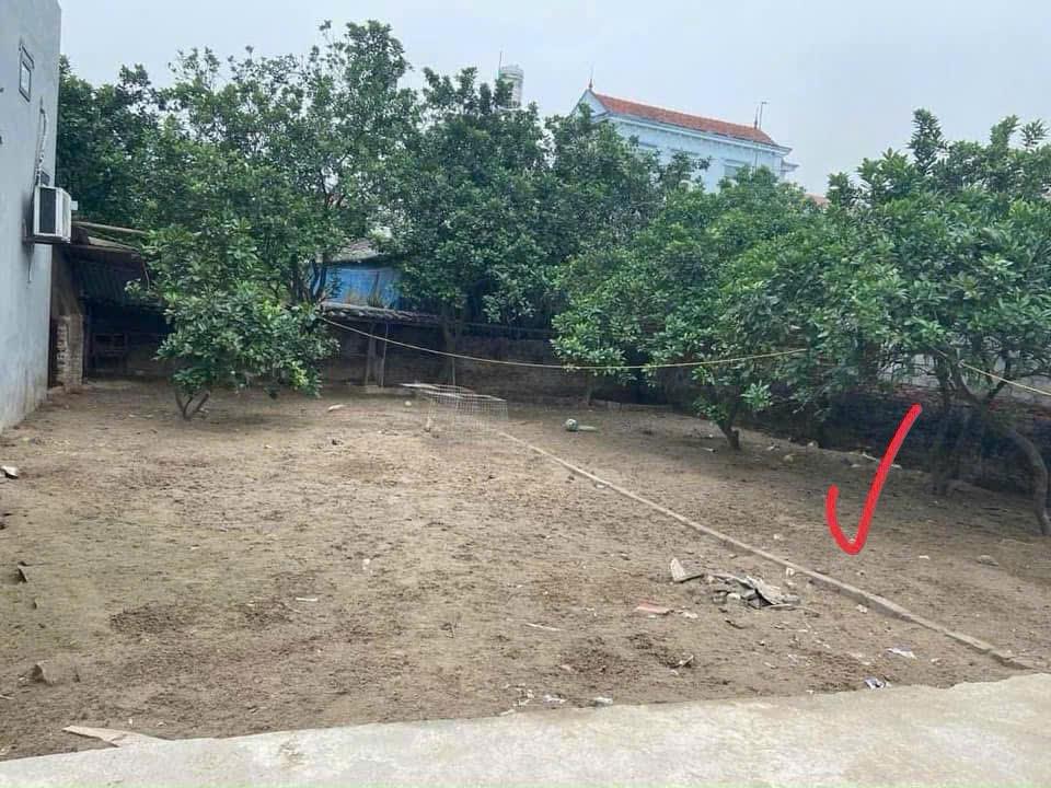 ĐẤT CHÍNH CHỦ - THỔ CƯ 100% Hàng F0 Đan Kim, Xã Liên Nghĩa, Huyện Văn Giang, Hưng Yên