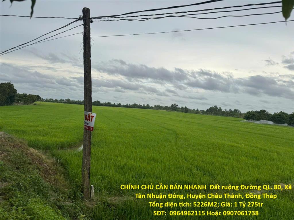 CHÍNH CHỦ CẦN BÁN NHANH  Đất ruộng Tân Nhuận Đông Châu Thành Đồng Tháp