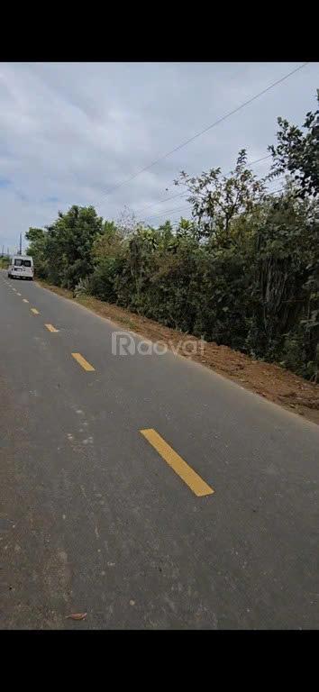 QUỸ ĐẤT HIẾM – CẦN BÁN ĐẤT 9.463M², 100M MẶT TIỀN Đ.ĐINH CÔNG TRÁNG, Đại Lào Cũ, TP.Bảo