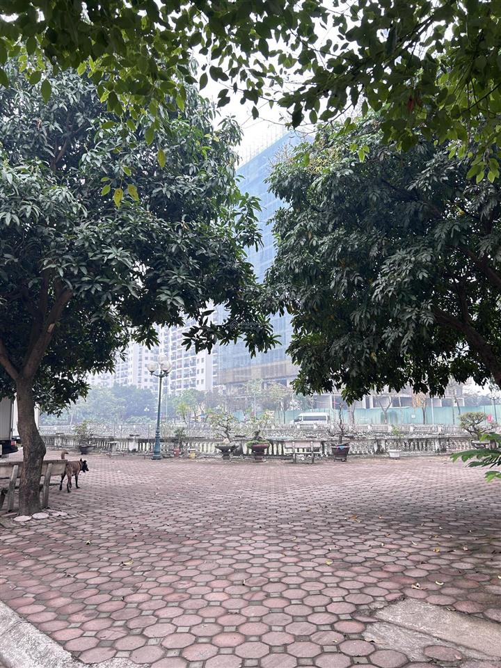 Bán đất lô góc phâ lô đường thông hè thoáng, gần hồ, kinh doanh, 64m2, giá tốt 15.9 tỷ