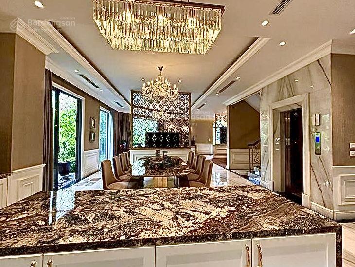 Bán biệt thự elegant park vila thạch bàn 378m2, đằng cấp sống, giá trị niềm tin, giá 104,8 tỷ