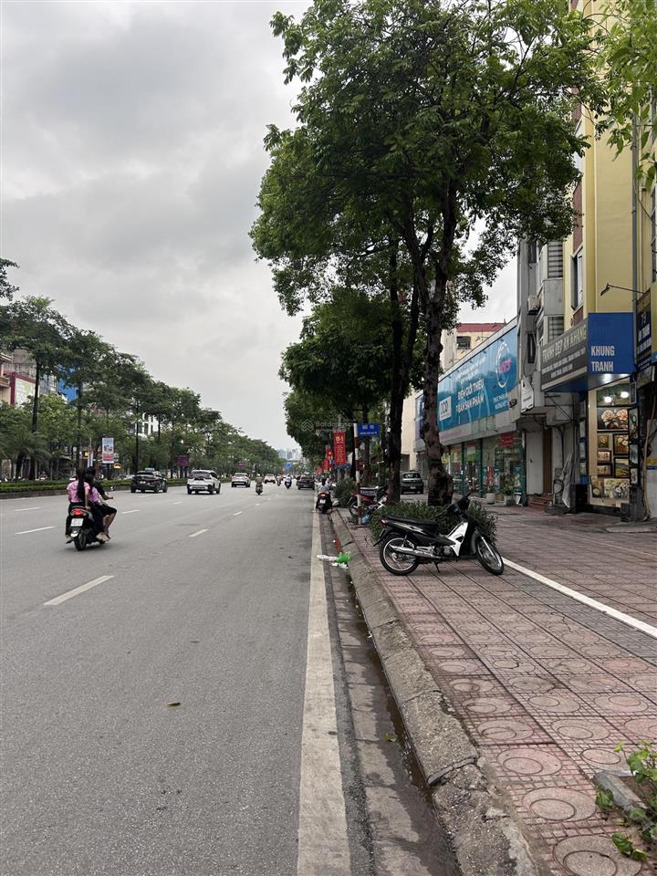 Long biên tòa nhà mặt phố vip 279m2, 1 hầm 6 nổi kinh doanh, làm văn phòng cực đẹp, giá 138 tỷ