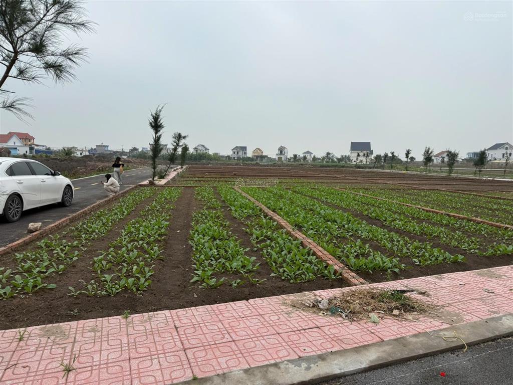 Cắt lỗ bán đất quất lâm ninh bình phân lô sát biển, kinh doanh nhà hàng, khách sạn, tiềm năng.