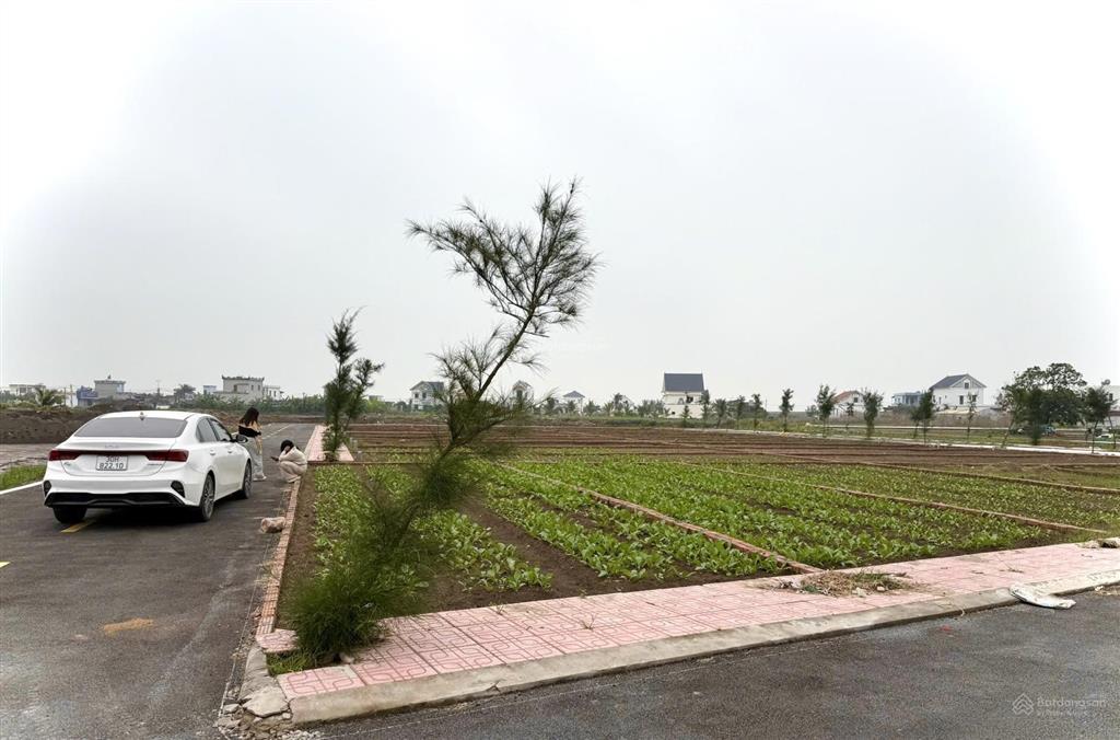 Cắt lỗ bán gấp 89m2 đất biển quất lâm ninh bình, tiềm năng, kinh doanh, đầu tư, hotel, nhà hàng