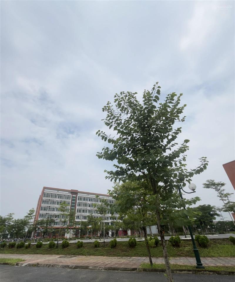 Đất nền hòa lạc khu công nghệ cao, cạnh đại học quốc gia hà nội, giá đầu tư, kinh doanh, nhỉnh 5 tỷ