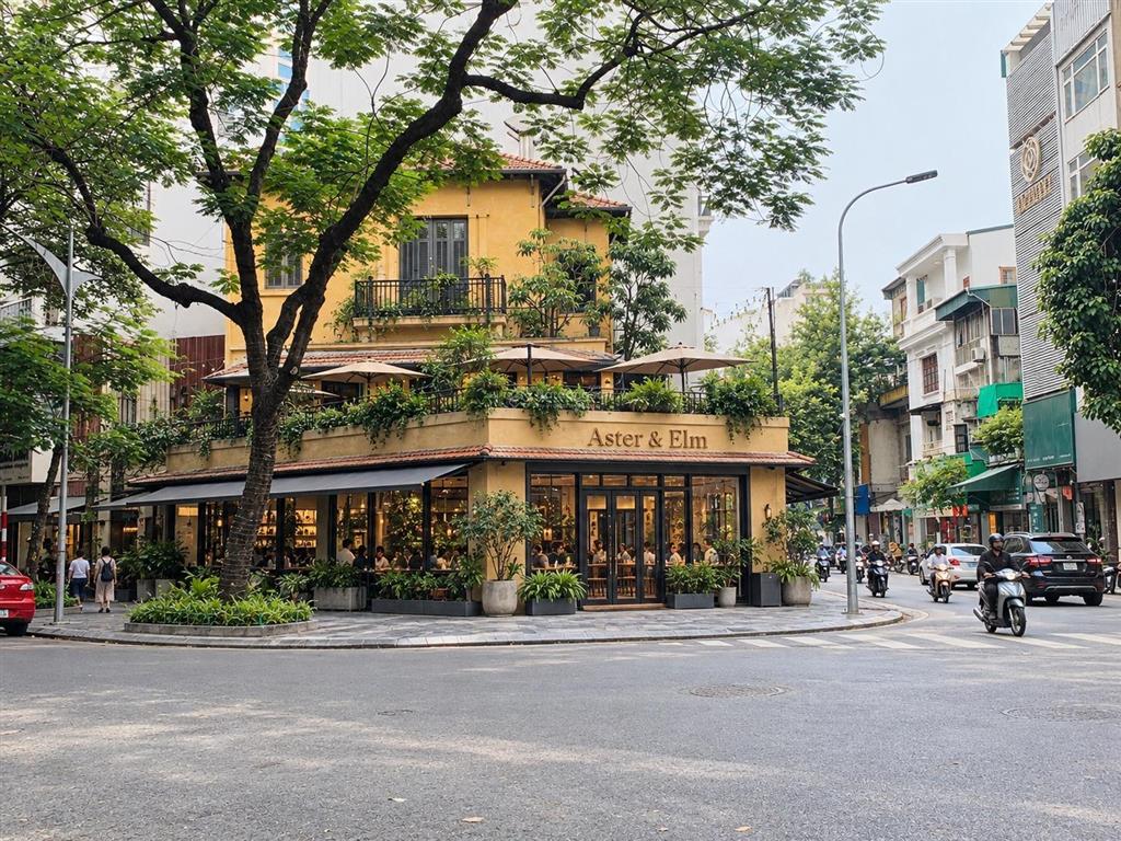 Cho thuê nhà mặt phố triệu việt vương, hai bà trưng, tầng 1 200m2, 5 tầng, mặt tiền 7m