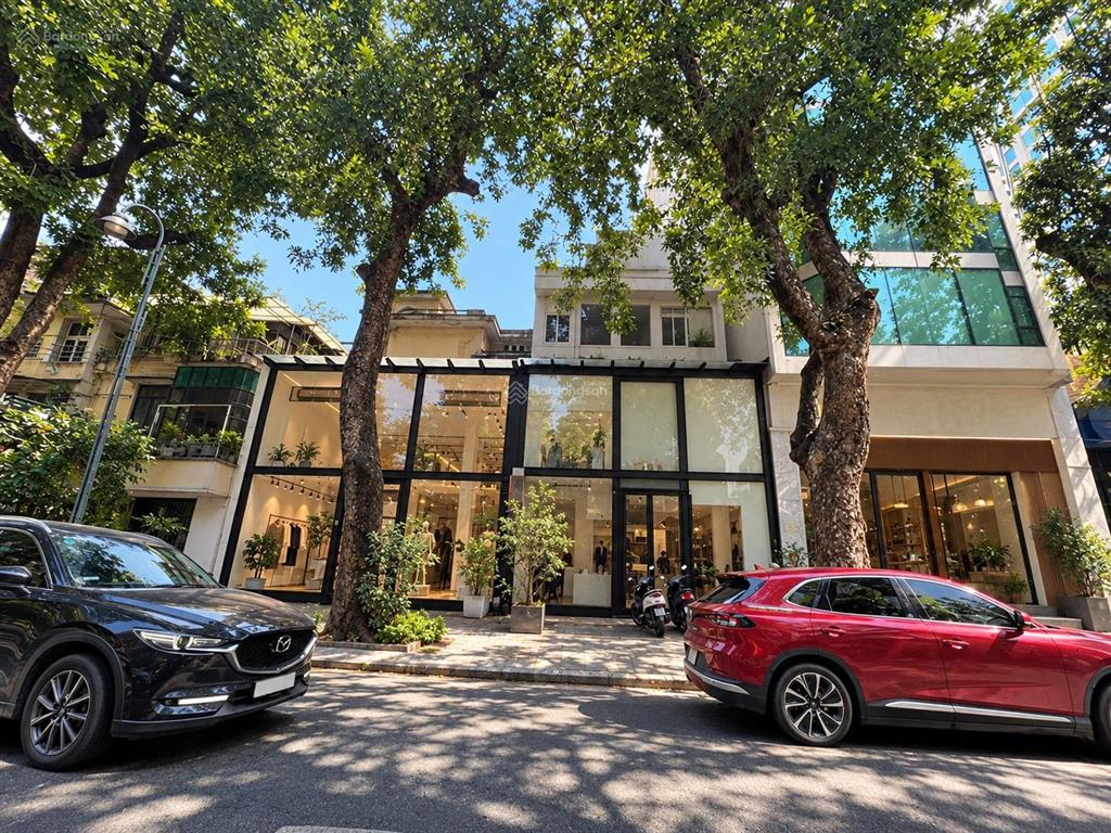 Cho thuê khách sạn 41 phòng mặt phố hà trung, hoàn kiếm, 295m2 x 7 tầng, mặt tiền 12m