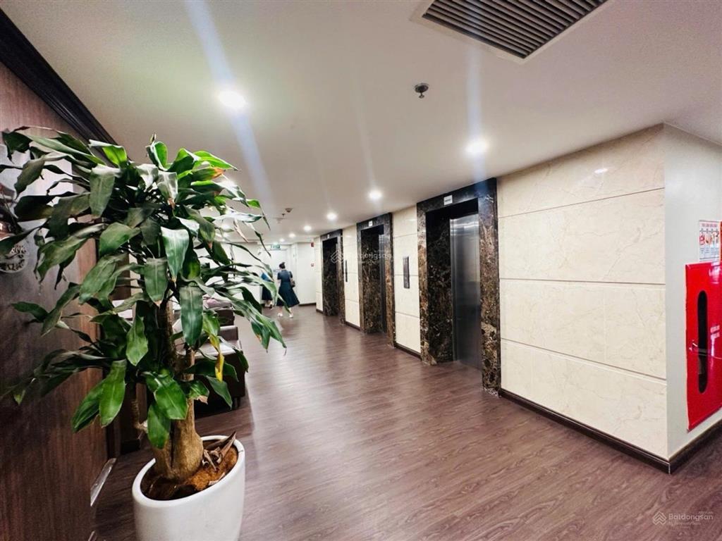 Bán căn hộ chung cư gần công viên nghĩa đô cầu giấy  255m2  6 pn  full nội thất xách vali ở ngay
