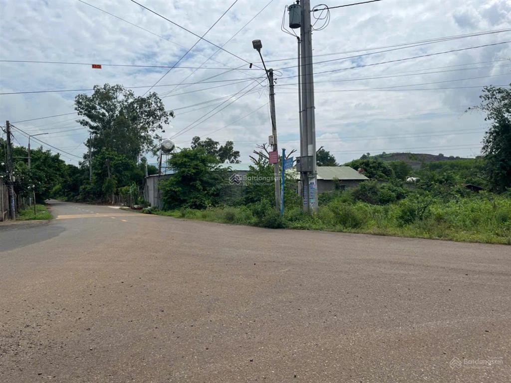 Bán bđs tại 106 ấp phong phú, hương lộ 2, long phước, 4,95 triệu / m2, 7208,7 m2