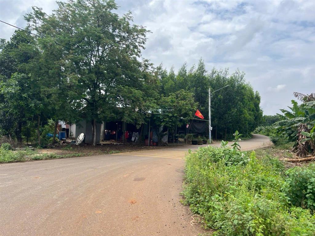 Bán bđs tại 106 ấp phong phú, hương lộ 2, long phước, 4,95 triệu / m2, 7208,7 m2