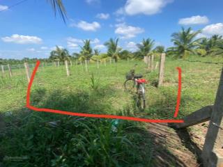 Bán đất tại xã bình ninh, (chợ gạo, tỉnh tiền giang) 124 m2 giá 325tr