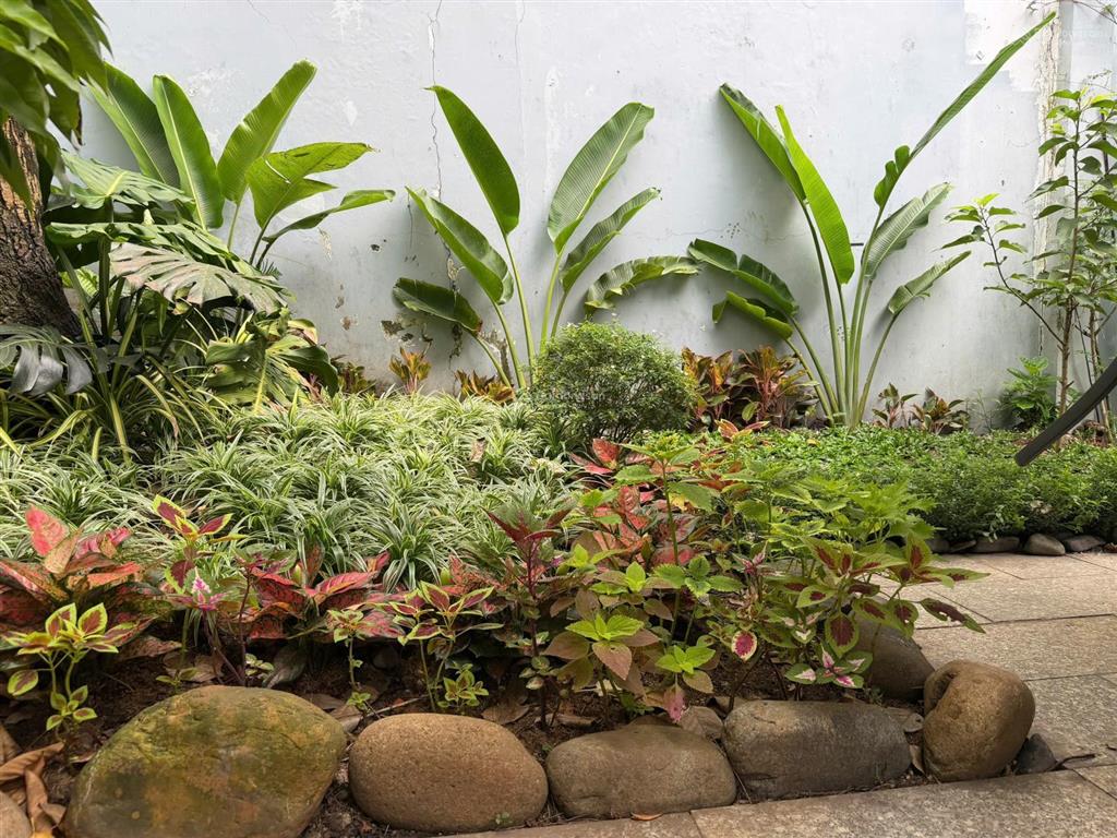 Bán căn hộ dịch vụ 244m2, 118 tỷ, đường số 1, thảo điền, q2, view đẹp, giá ưu đãi