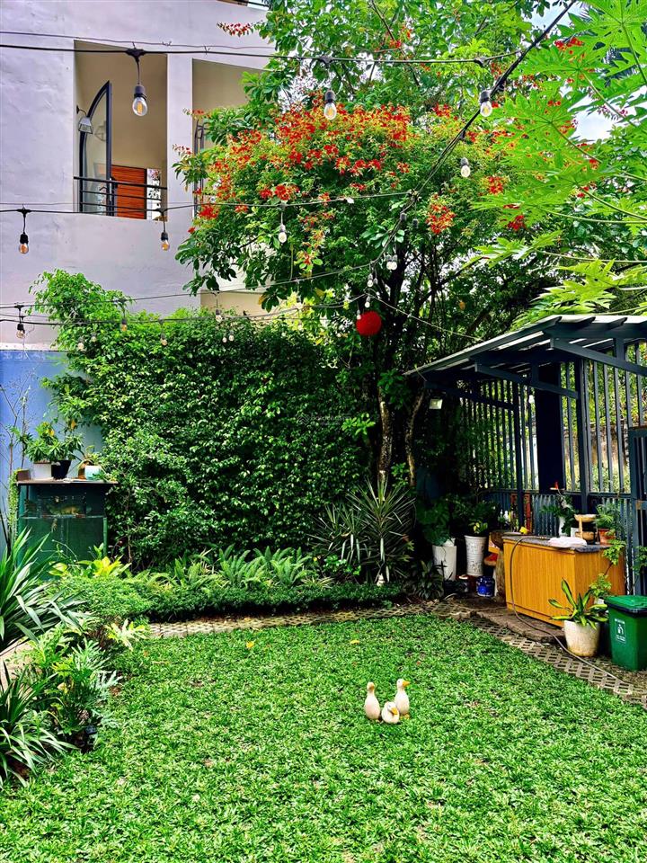 Bán căn hộ dịch vụ 244m2, 118 tỷ, đường số 1, thảo điền, q2, view đẹp, giá ưu đãi