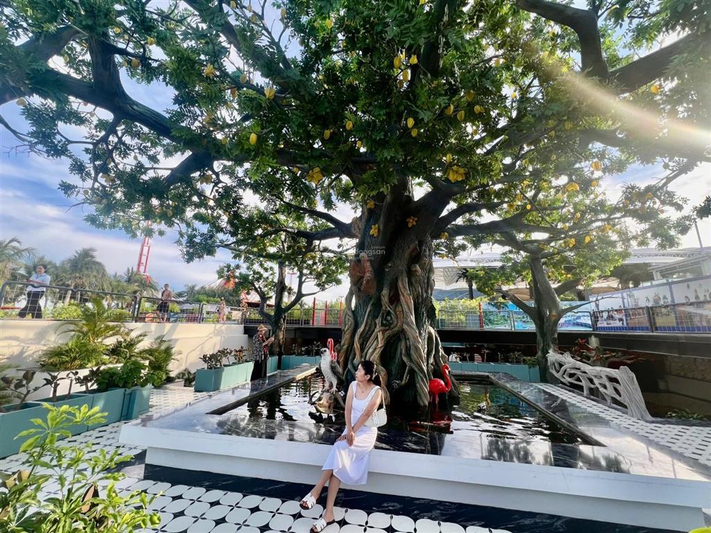 Duy nhất bán lẻ 01 ô có khe thoáng vườn hoa to 7m giá shock 29.5tr/m