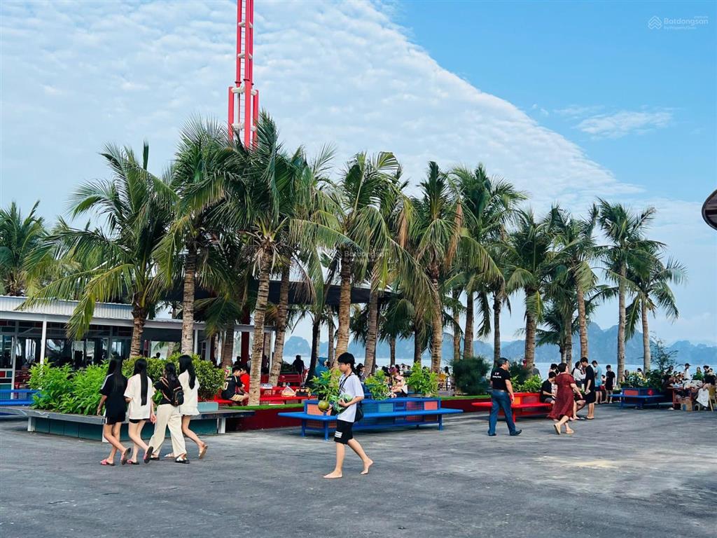 Hàng hiếm ô đn lõi trung tâm đi bộ 8p sang mặt bãi biển trung tâm giá chỉ 33.5tr/m