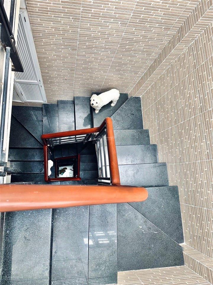Bán nhà 4 tầng, hẻm lạc long quân, p.9 tân bình
dt 2,6x12 trệt lửng 2 lầu+ sân thượng, 3pn, 4wc